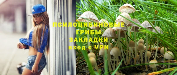 соль ск Вяземский