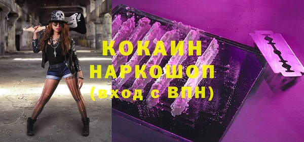 соль ск Вяземский