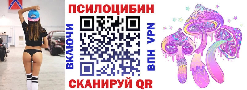 Псилоцибиновые грибы Cubensis  Купить  Новосокольники 