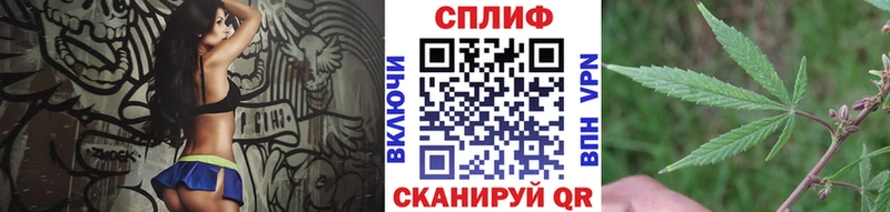 Канабис план Новосокольники